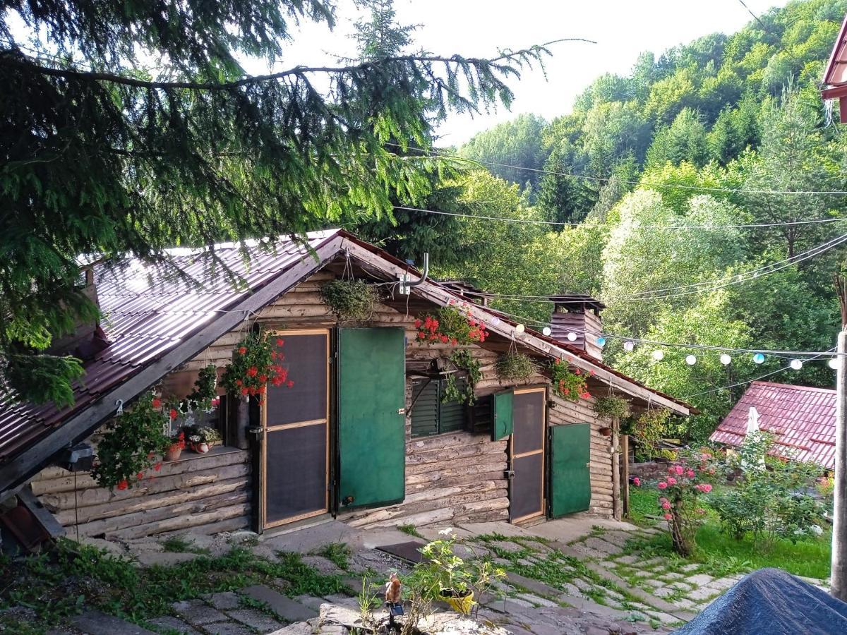 Crni VrhZimska Idila公寓 外观 照片